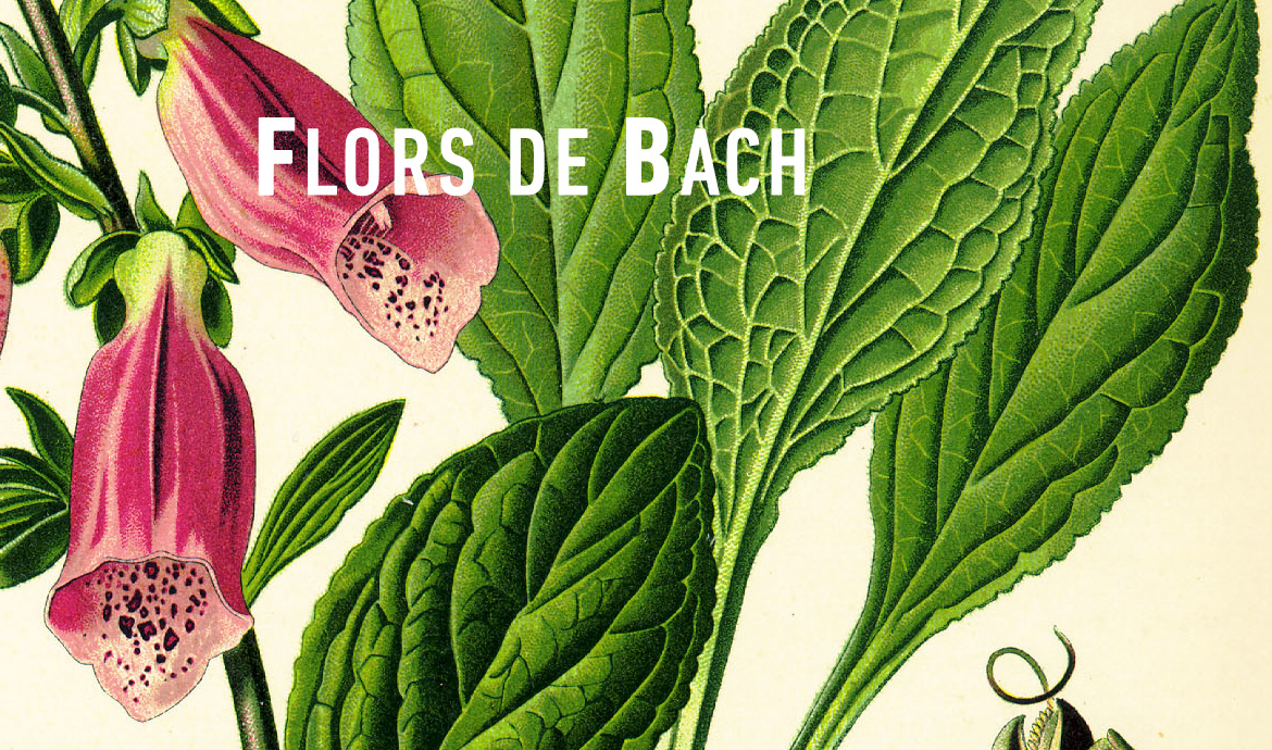 Flors de Bach